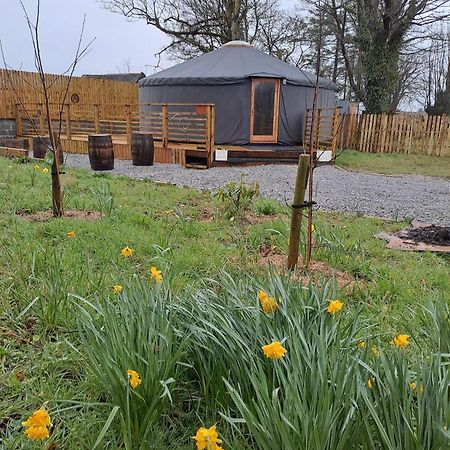 The Snowdrop Hotell Galway Exteriör bild
