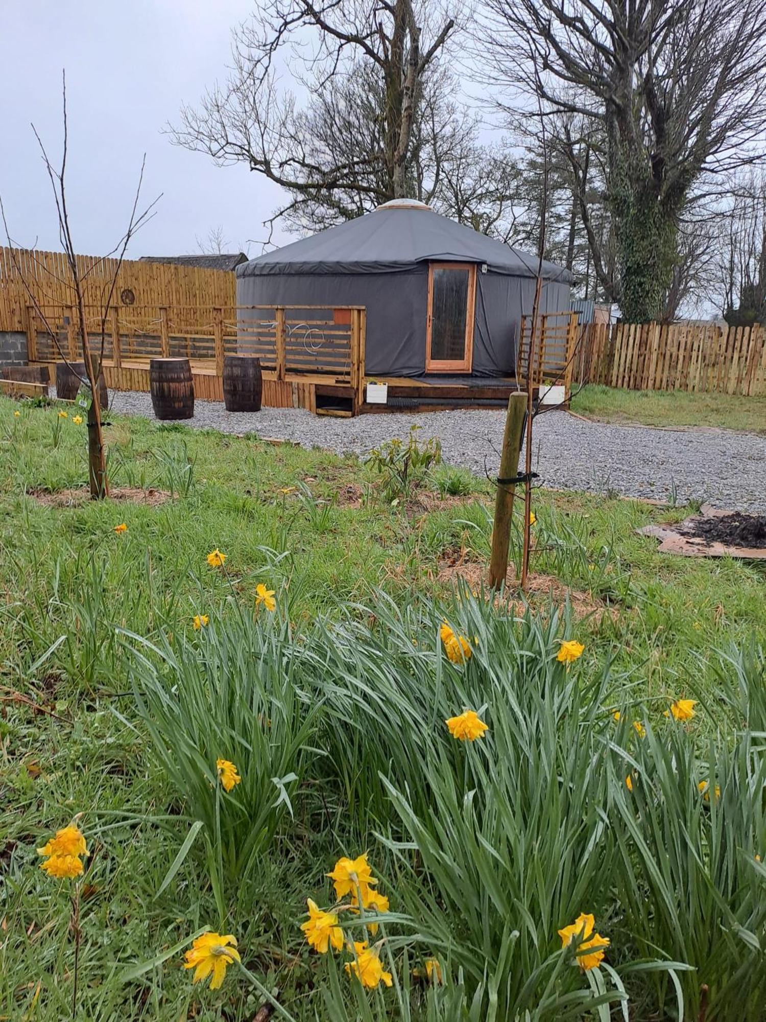 The Snowdrop Hotell Galway Exteriör bild